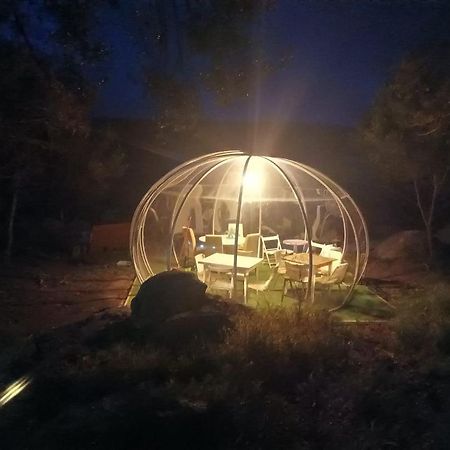Eucaliptus Farm Retreat Guest House Santa Teresa Gallura Exterior photo
