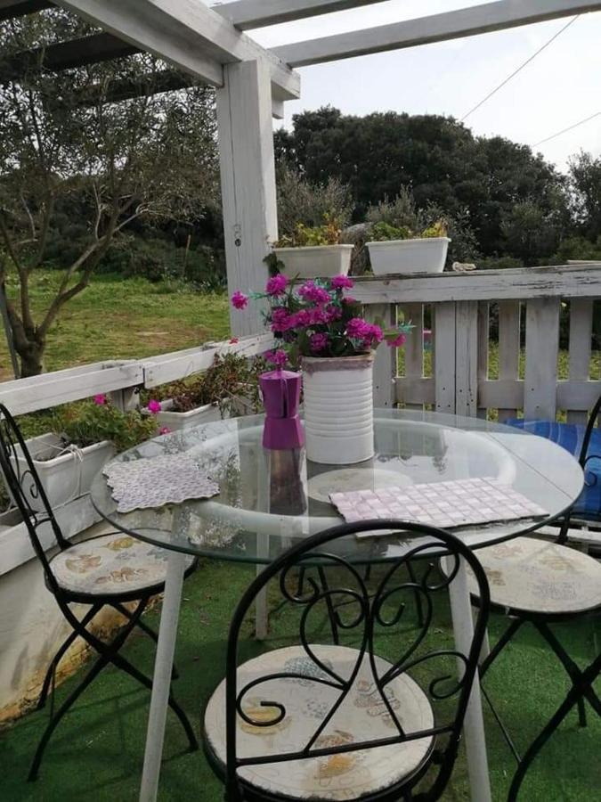 Eucaliptus Farm Retreat Guest House Santa Teresa Gallura Exterior photo