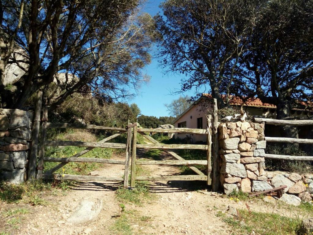 Eucaliptus Farm Retreat Guest House Santa Teresa Gallura Exterior photo