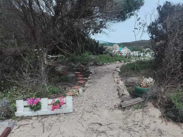 Eucaliptus Farm Retreat Guest House Santa Teresa Gallura Exterior photo