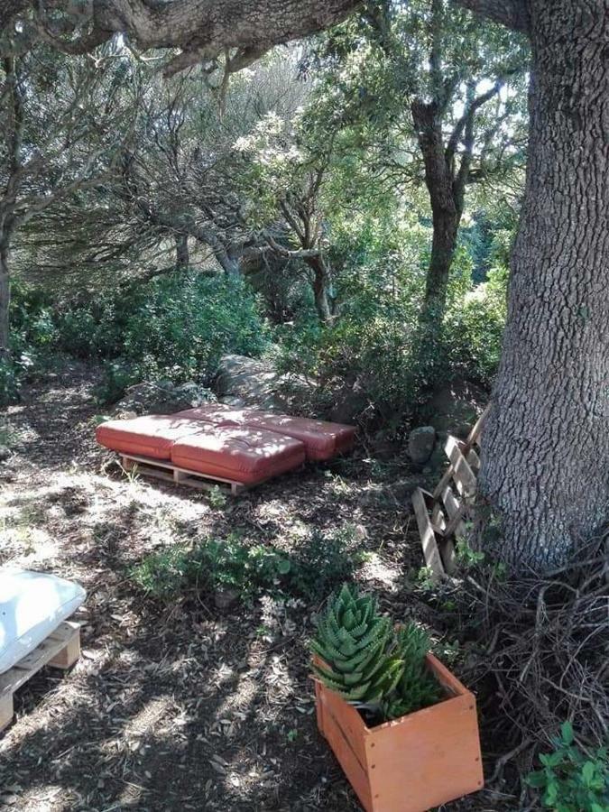 Eucaliptus Farm Retreat Guest House Santa Teresa Gallura Exterior photo