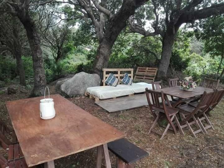 Eucaliptus Farm Retreat Guest House Santa Teresa Gallura Exterior photo